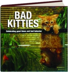 Bad Kitties