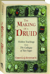 THE MAKING OF A DRUID: Hidden Teachings from The Colloquy of Two Sages