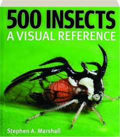 500 INSECTS: A Visual Reference