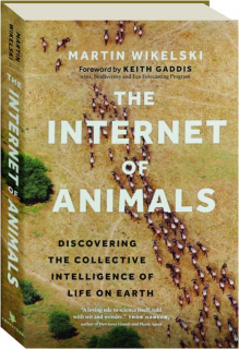 THE INTERNET OF ANIMALS: Discovering the Collective Intelligence of Life on Earth