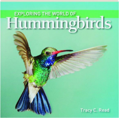 EXPLORING THE WORLD OF HUMMINGBIRDS