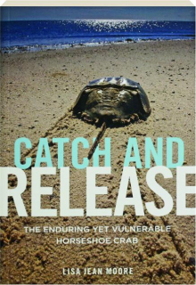 CATCH AND RELEASE: The Enduring Yet Vulnerable Horseshoe Crab