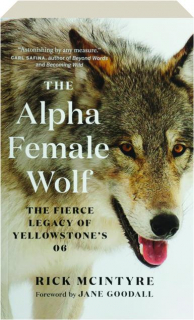 THE ALPHA FEMALE WOLF: The Fierce Legacy of Yellowstone's 06