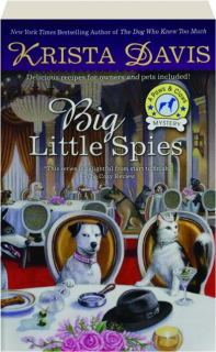 BIG LITTLE SPIES