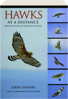 HAWKS AT A DISTANCE: Identification of Migrant Raptors