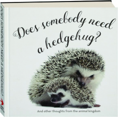 DOES SOMEBODY NEED A HEDGEHUG?