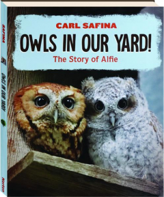 OWLS IN OUR YARD! The Story of Alfie