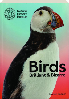 BIRDS: Brilliant & Bizarre