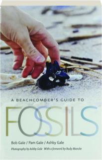 A BEACHCOMBER'S GUIDE TO FOSSILS