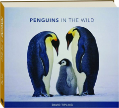 PENGUINS IN THE WILD