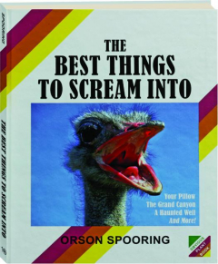 THE BEST THINGS TO SCREAM INTO