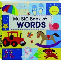 MY BIG BOOK OF WORDS