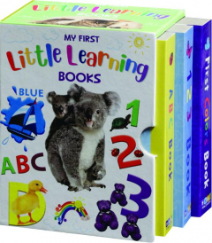 MY FIRST LITTLE LEARNING BOOKS