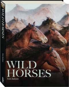 WILD HORSES