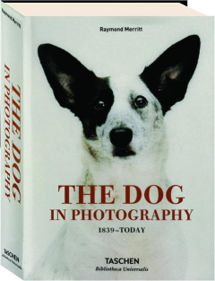 THE DOG IN PHOTOGRAPHY, 1839-TODAY