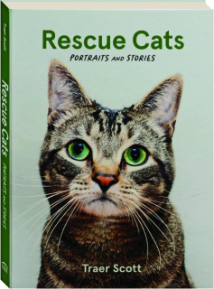 RESCUE CATS: Portraits and Stories