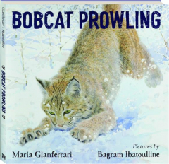 BOBCAT PROWLING