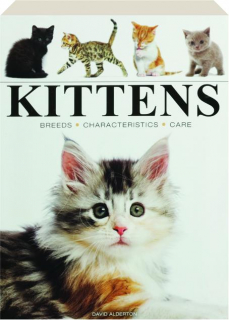 KITTENS: Breeds, Characteristics, Care