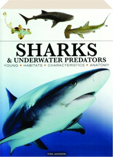 SHARKS & UNDERWATER PREDATORS: Young, Habitats, Characteristics, Anatomy