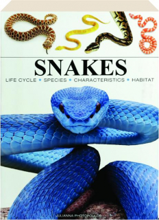 SNAKES: Life Cycle, Species, Characteristics, Habitat