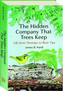 THE HIDDEN COMPANY THAT TREES KEEP: Life from Treetops to Root Tips