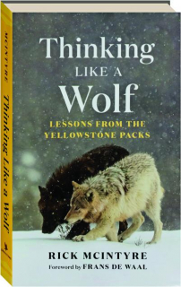 THINKING LIKE A WOLF: Lessons from the Yellowstone Packs