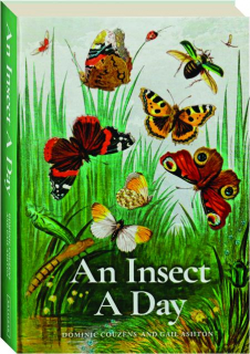 AN INSECT A DAY