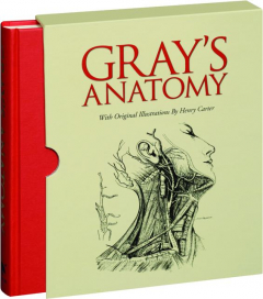 GRAY'S ANATOMY