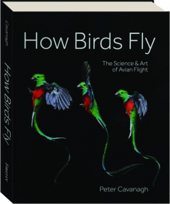 HOW BIRDS FLY: The Science & Art of Avian Flight