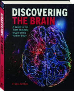 DISCOVERING THE BRAIN: A Guide to the Most Complex Organ of the Human Body