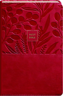 KJV HOLY BIBLE COMFORT PRINT