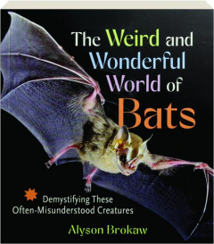 THE WEIRD AND WONDERFUL WORLD OF BATS: Demystifying These Often-Misunderstood Creatures