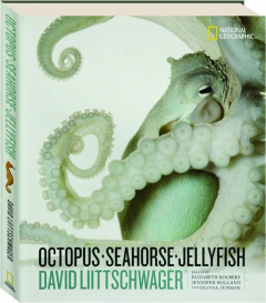 OCTOPUS, SEAHORSE, JELLYFISH