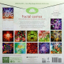 2025 FRACTAL COSMOS CALENDAR - Thumb 2