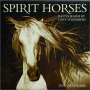 2025 SPIRIT HORSES CALENDAR - Thumb 1