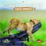 2025 COMEDY WILDLIFE PHOTO AWARDS CALENDAR - Thumb 1