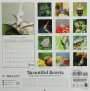 2025 BEAUTIFUL BEASTS CALENDAR: Bugs, Insects & Other Fantastic Creatures - Thumb 2