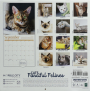 2025 CATS FANCIFUL FELINES CALENDAR - Thumb 2