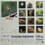 2025 MARVELOUS MUSHROOMS CALENDAR - Thumb 2