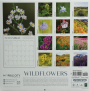 2025 WILDFLOWERS CALENDAR - Thumb 2