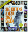 2025 365 KITTENS A YEAR CALENDAR - Thumb 1