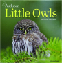 2025 AUDUBON LITTLE OWLS MINI CALENDAR - Thumb 1