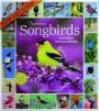 2025 AUDUBON SONGBIRDS AND OTHER BACKYARD BIRDS CALENDAR - Thumb 1