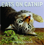 2025 CATS ON CATNIP CALENDAR - Thumb 1