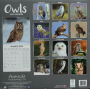 2025 OWLS CALENDAR - Thumb 2