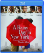 A RAINY DAY IN NEW YORK - Thumb 1