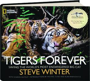 Tigers Forever Saving The World S Most Endangered Big Cat