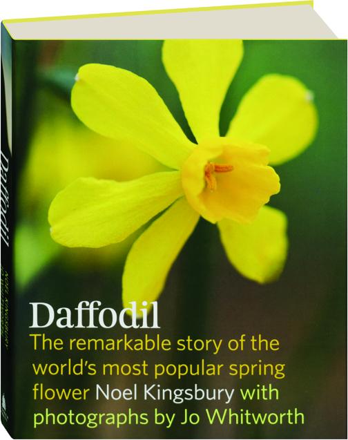 Daffodil The Remarkable Story Of The World S Most Popular