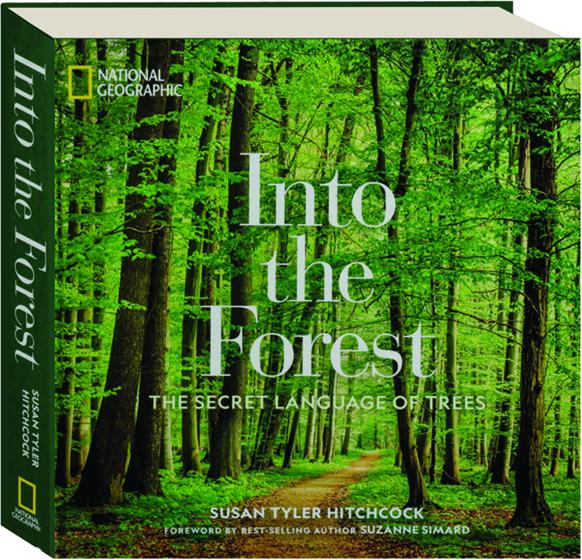 The Soul of the Forest 2020 Wall Calendar: Traveling the Globe, Connecting  the World: Amber Lotus Publishing: 9781631365744: : Books