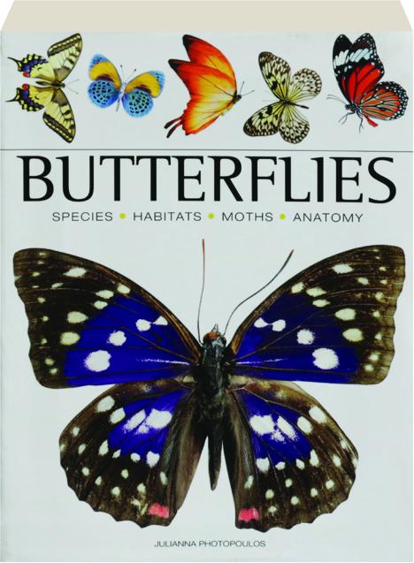 Butterflies Species Habitats Moths Anatomy Hamiltonbook Com